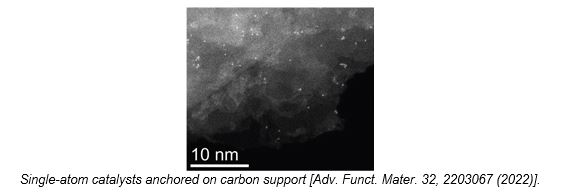 Single atom catalyst on carbon support