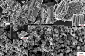 Tungsten Trioxide as a Visible Light Photocatalyst for Volatile Organic Carbon Removal