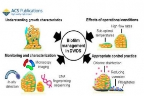 EST biofilm