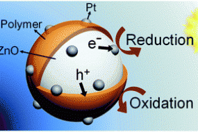 Schematic illustration pathway for photocatalytic synthesis of Poly/Pt/ZnO