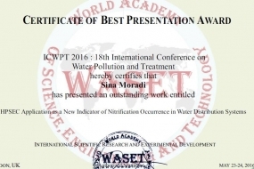 Sina best presentation