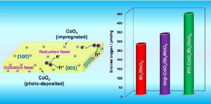 Proposed charge separation process within plate-like Bi2MoO6