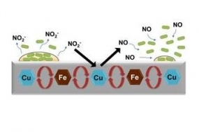 Novel NO - mixed metal oxide system generating antibiofilm technology
