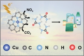 Graphical Abstract Adv Energy Materials, July 2022