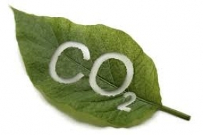 Artificial photosynthesis for CO2 conversion to value added chemicals