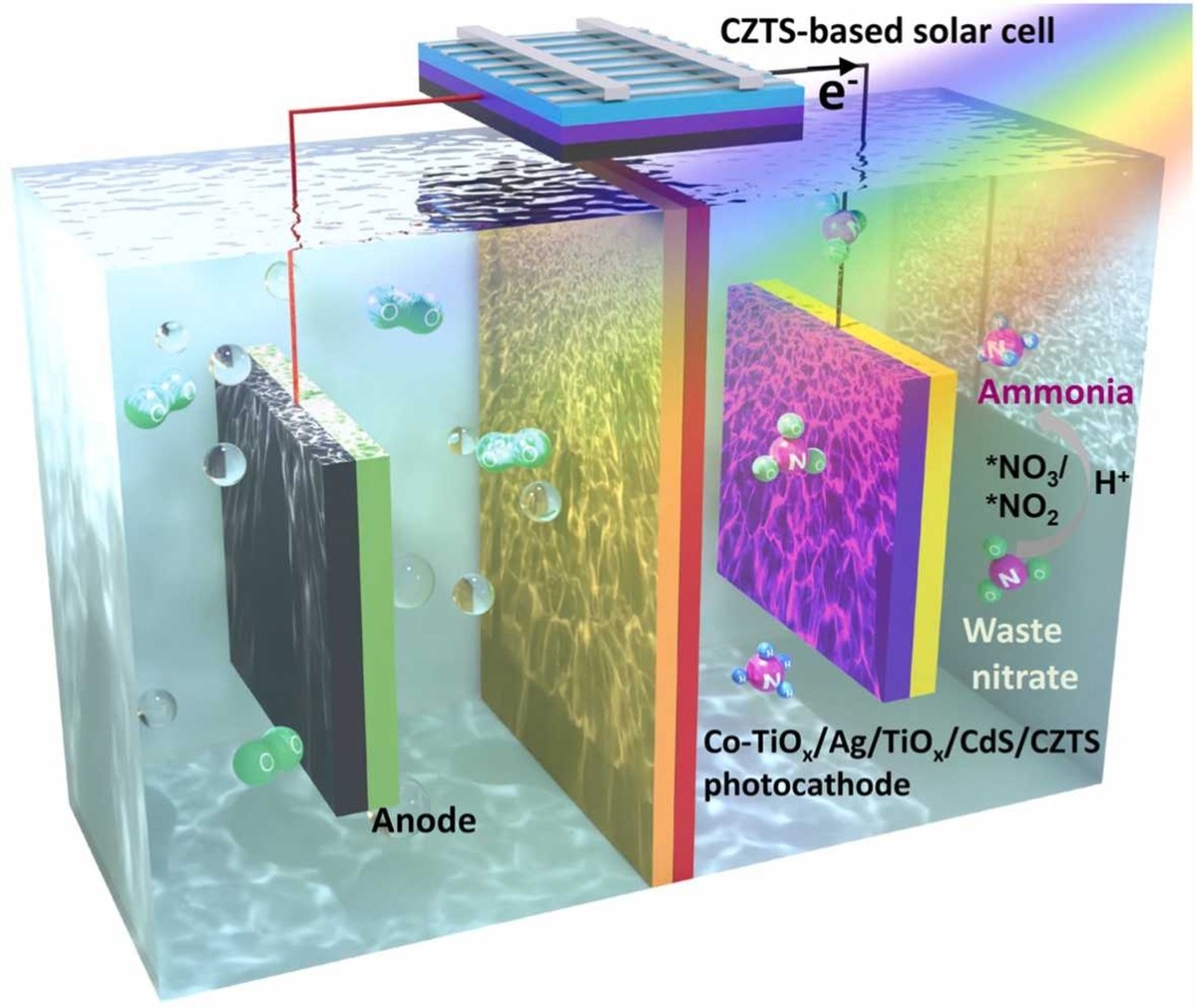 Solar driven ammonia synthesis with Co-TiOx and Ag nanowires enhanced Cu2ZnSnS4 photocathodes