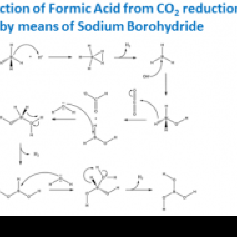 Proposed reaction mechanism for the reduction of CO2 to formic acid by means of borohydride