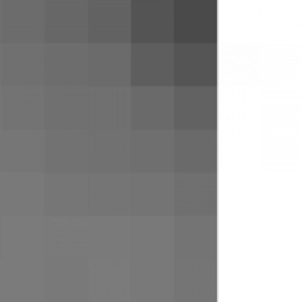 Cover_Hamid_EMU 
