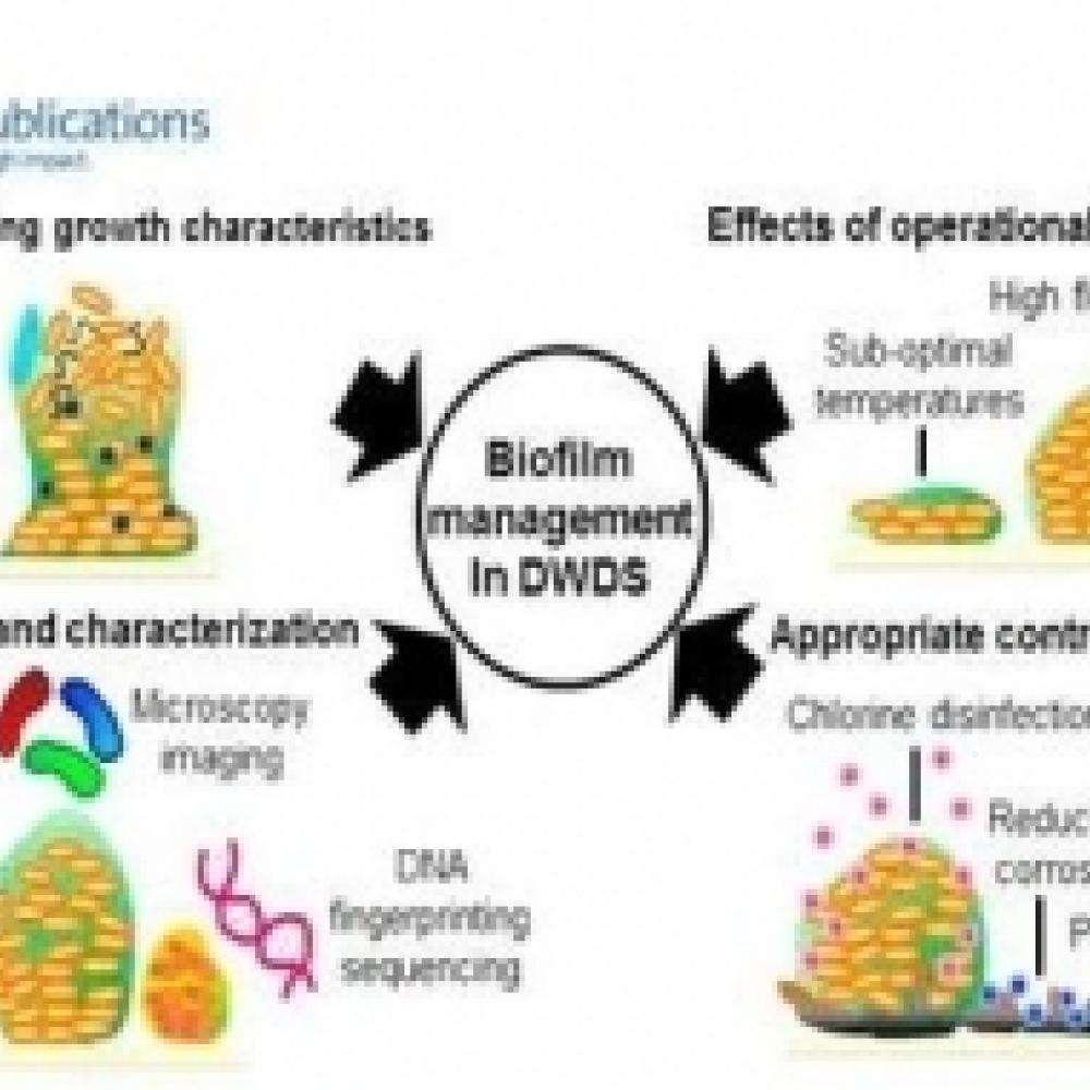 EST biofilm