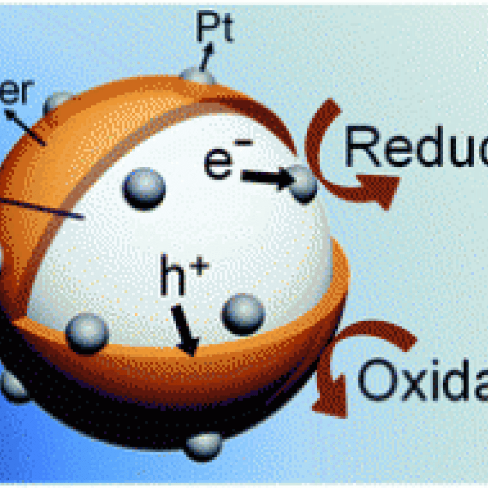 Schematic illustration pathway for photocatalytic synthesis of Poly/Pt/ZnO
