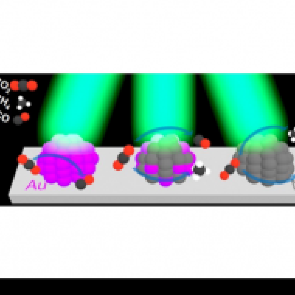 Schematic representation of conversion and selectivity of Ni-Au/SiO2 under light illumination