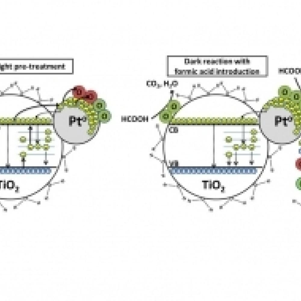 Graphical abstract on the role of adsorbed oxygen species in catalytic oxidation of Pt/TiO2