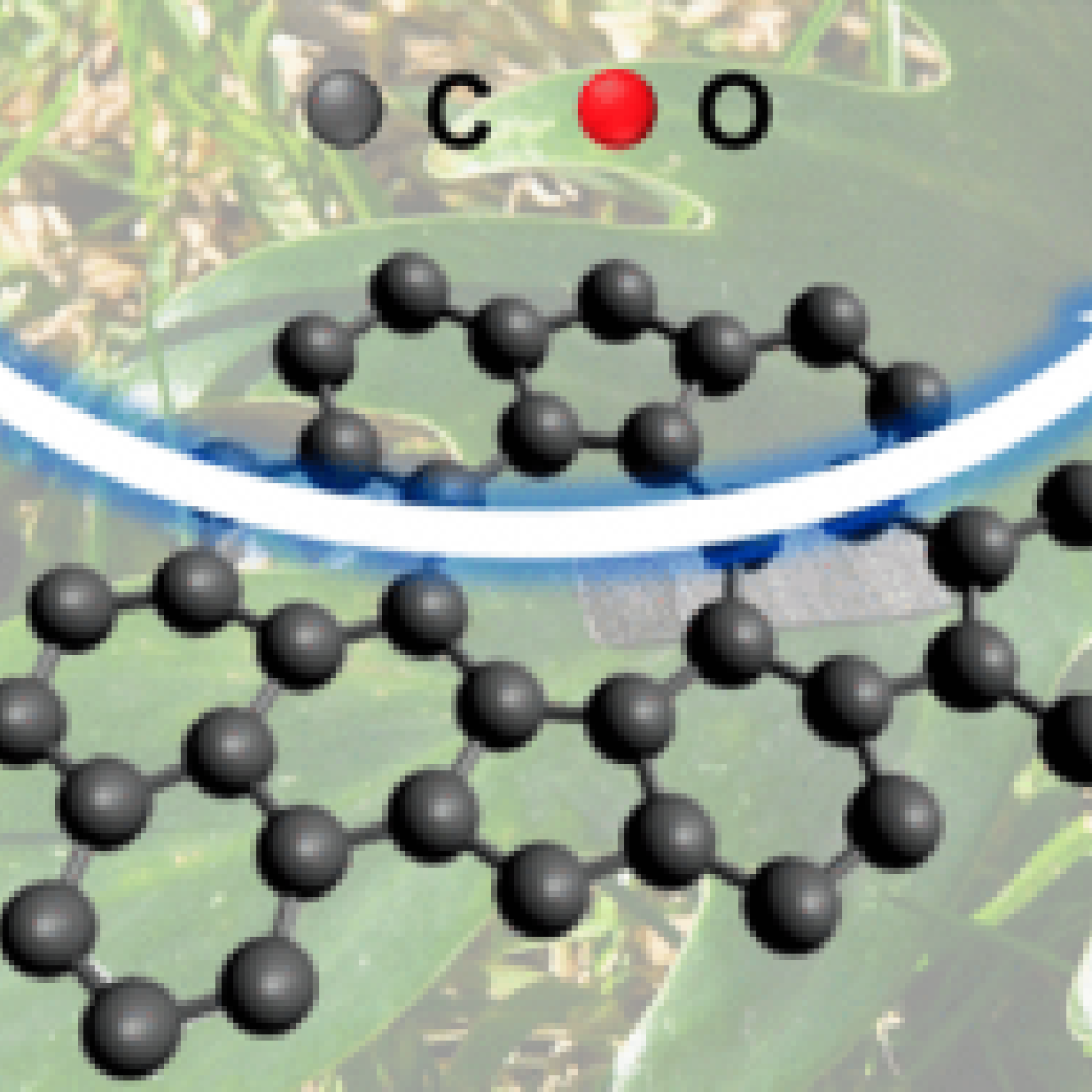 TOC_Electroreduction