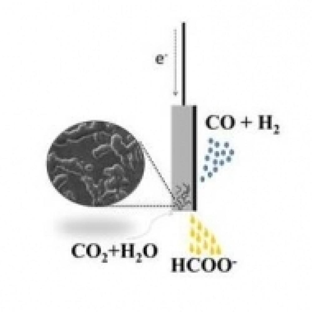 Low cost Sn electrode fabricated by anodisation technique for enhancing the electrocatalytic reaction of CO2 to formate