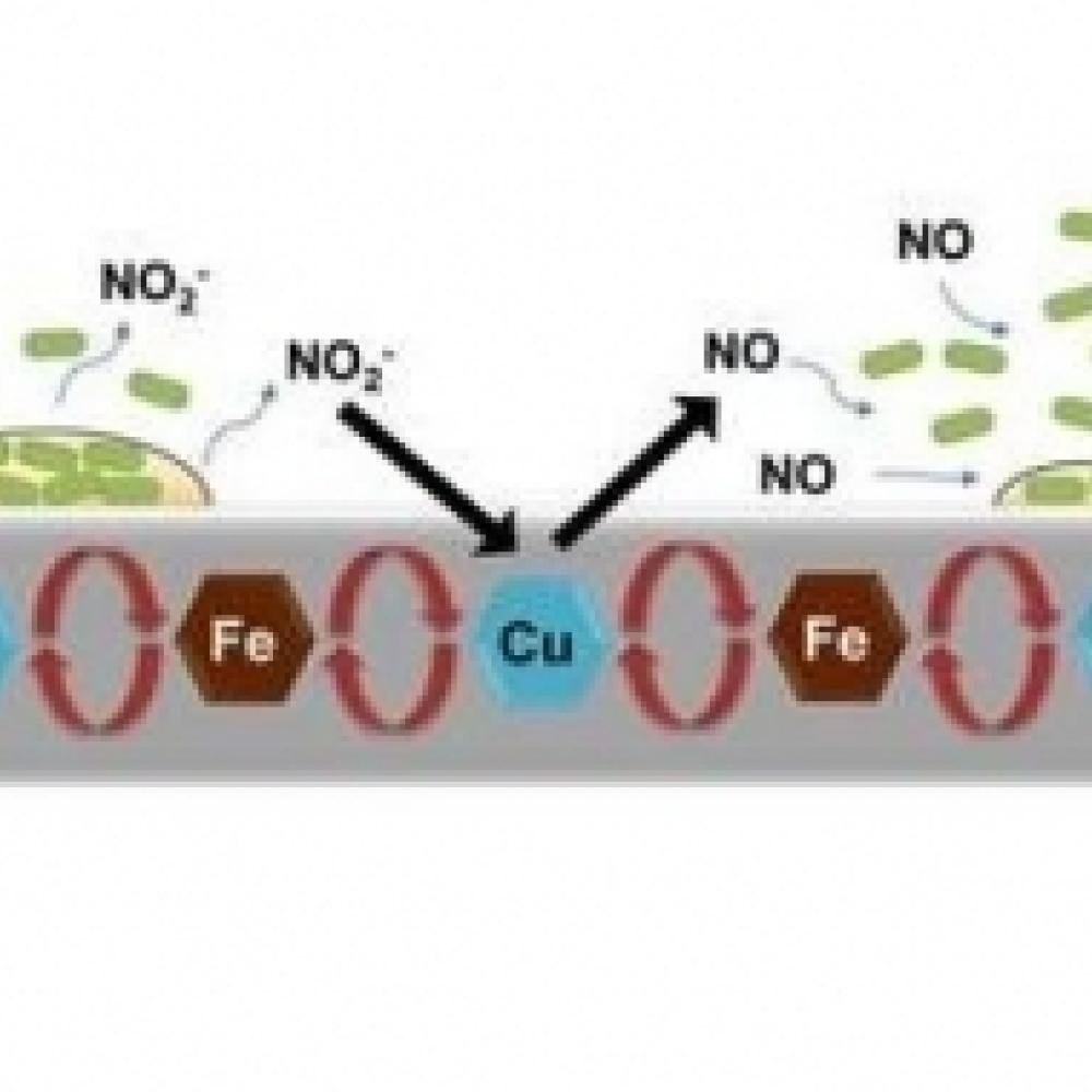 Novel NO - mixed metal oxide system generating antibiofilm technology