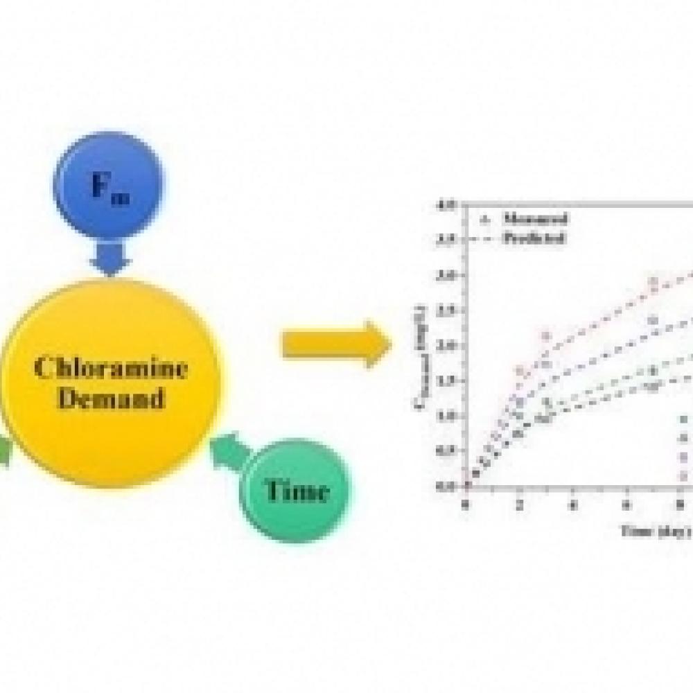 Using chloroamine decay (Fm), organic character (SUVA) and time, the developed model successfully predict the chloroamine demand for various water samples